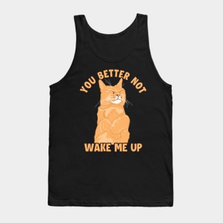 You Better Not Wake Me Up Cat Mom Cat Lovers Funny Cat Tank Top